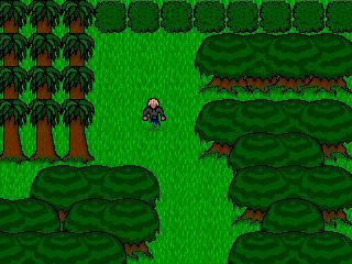 Wandering in the Grass